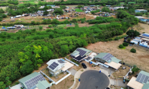 Solar array on homes surrounded by trees.