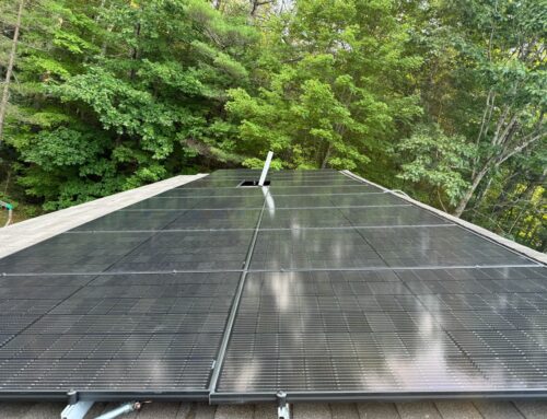 Roofing and Tree Trimming for Peak Solar Performance